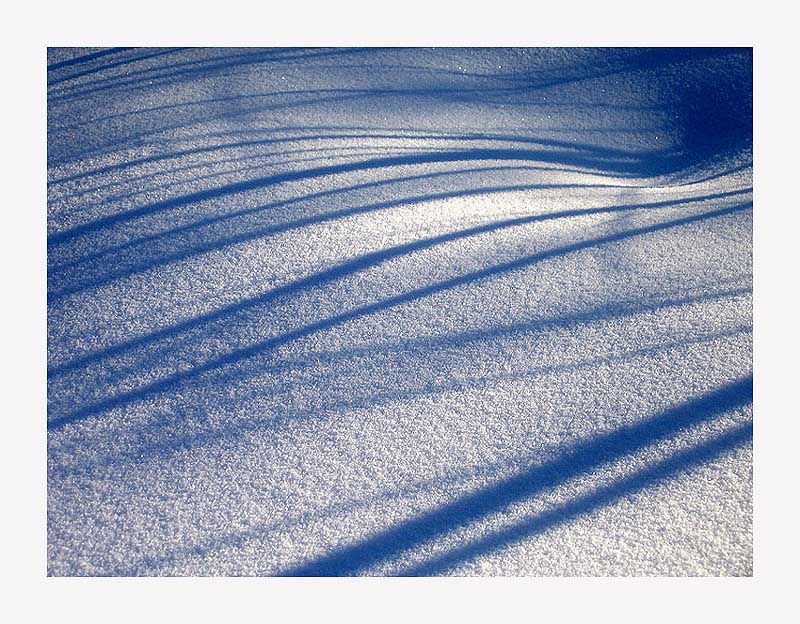 photo "Snow variations" tags: landscape, abstract, winter