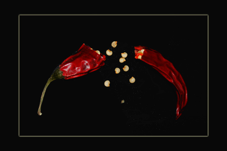 photo "Chile pepper" tags: still life, macro and close-up, 