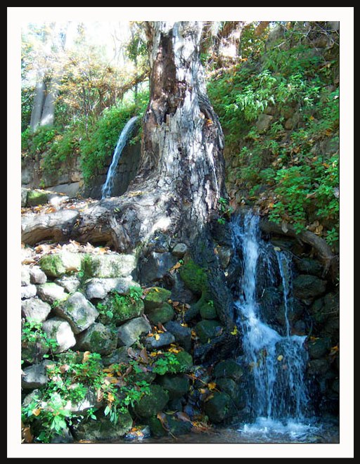 photo "Banias ." tags: landscape, autumn, forest