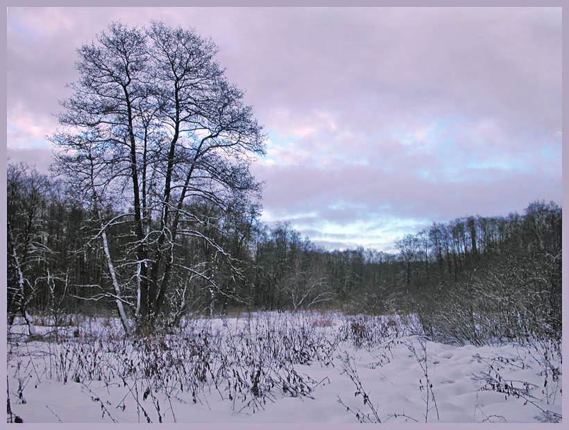 photo "And somewere the sun shines!" tags: landscape, forest, winter