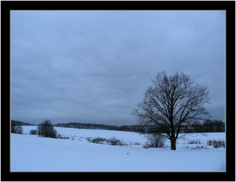 photo "+++" tags: landscape, winter