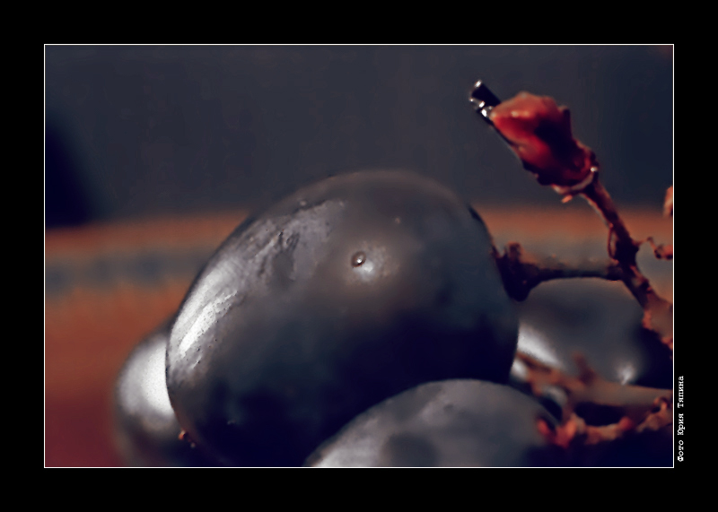 photo "Grapes" tags: macro and close-up, still life, 