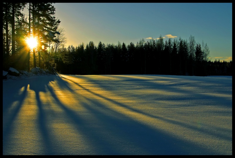 photo "Shadows on the snow" tags: landscape, winter