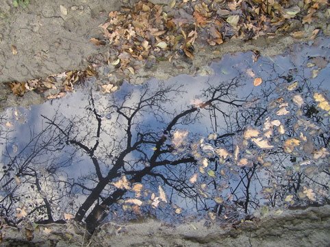 photo "puddle" tags: landscape, nature, water