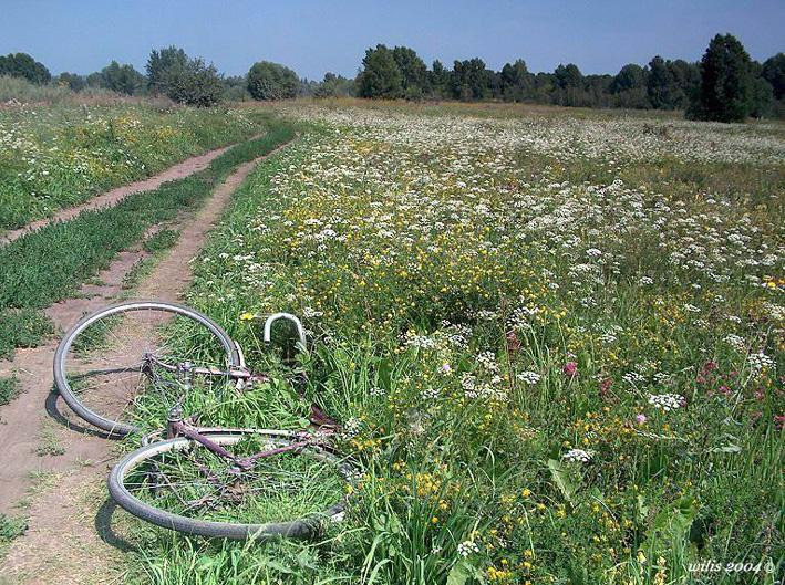 фото "Скоро лето )" метки: пейзаж, лето