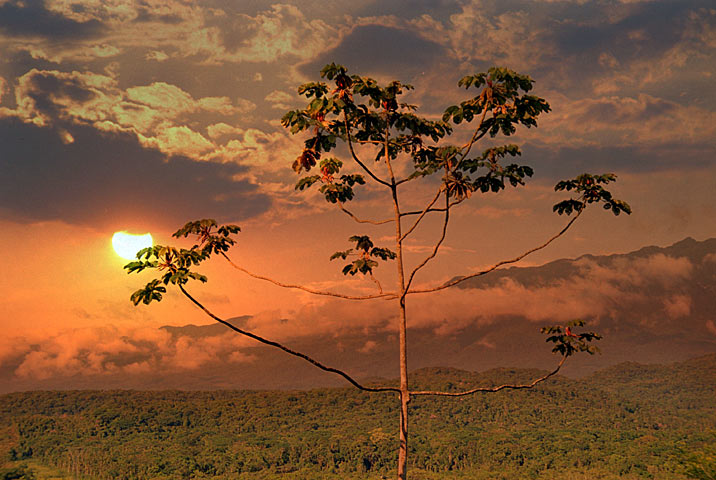 photo "Sunset" tags: misc., 
