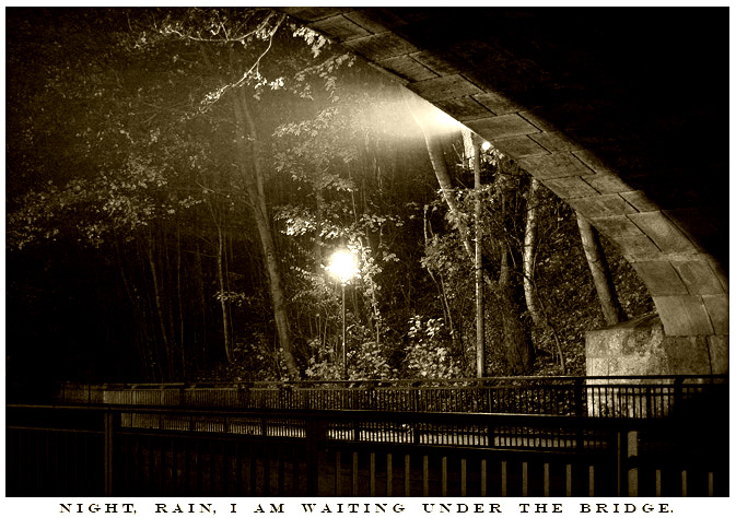 photo "Night. Rain. I am waiting under the Bridge." tags: misc., 