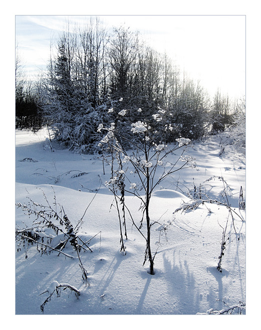 фото "Русская зима" метки: пейзаж, природа, зима