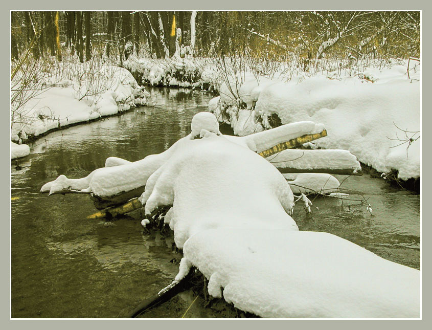 photo "Features of an alloy on a kayak during the winter" tags: landscape, forest, winter