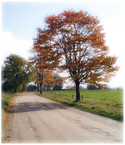 photo "autumn way to....." tags: landscape, misc., autumn