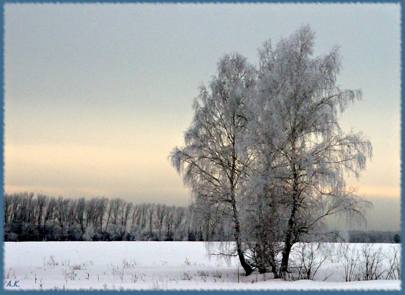 photo "January" tags: landscape, nature, winter