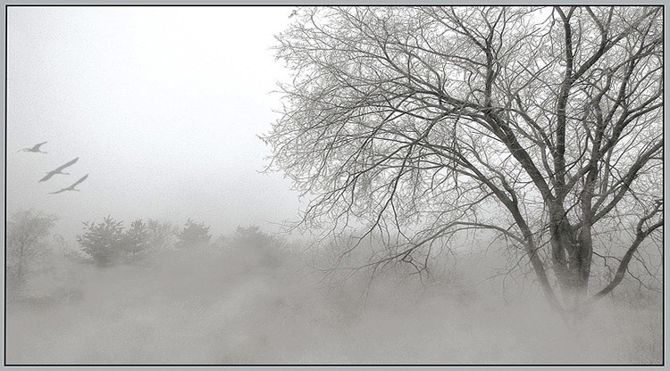 photo "Untitled photo" tags: landscape, nature, winter