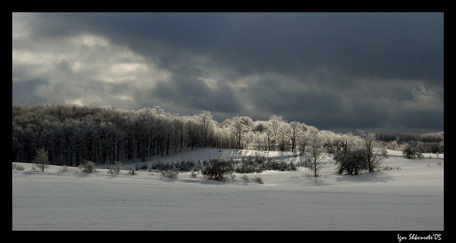 фото "Frosty Forest" метки: пейзаж, зима, лес
