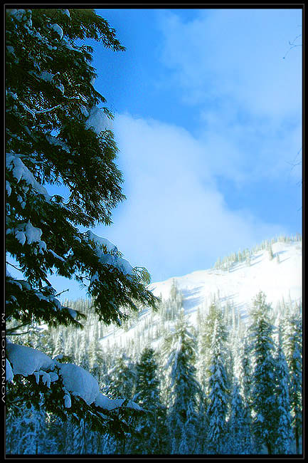photo "Sun and frost" tags: landscape, forest, winter
