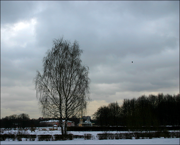 photo "Winter in Kuskovo" tags: landscape, winter