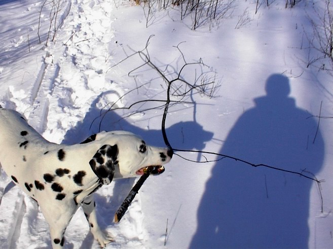 photo "Just the two of us..." tags: landscape, nature, pets/farm animals, winter