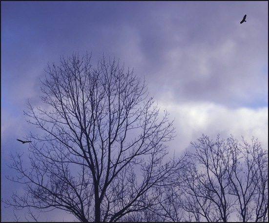 photo "Going Home" tags: landscape, clouds