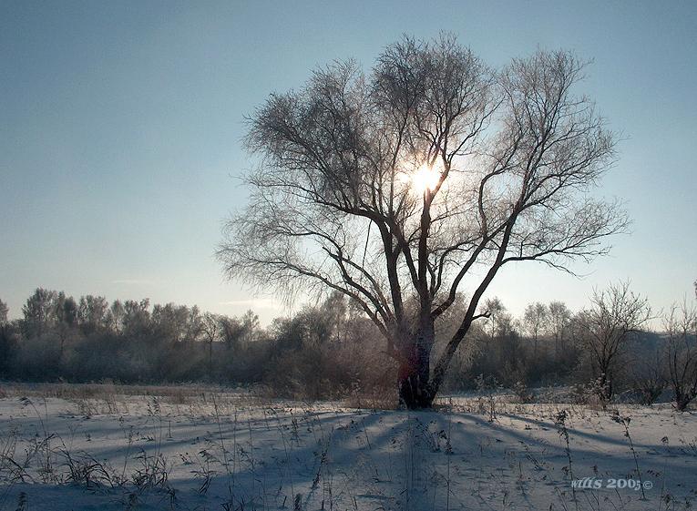photo "###" tags: landscape, winter