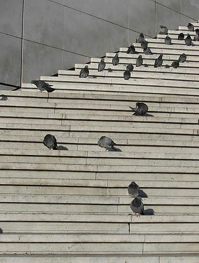 photo "*" tags: misc., 