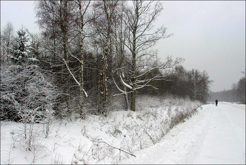 фото "Зимняя сказка." метки: пейзаж, зима, лес