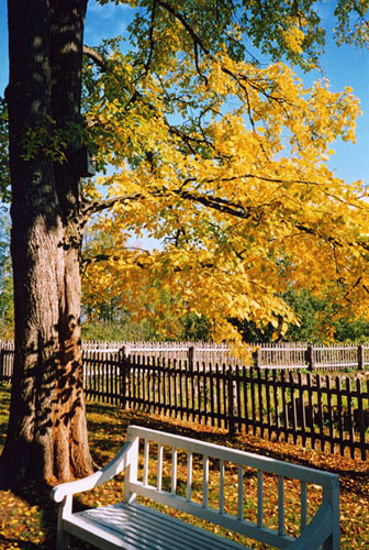 photo "*" tags: travel, landscape, autumn