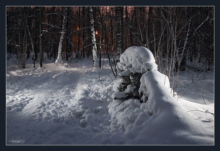 photo "Russia. Winter. Night in the Park." tags: landscape, forest, winter