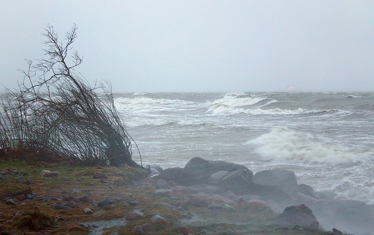 фото "Январский шторм" метки: пейзаж, природа, вода