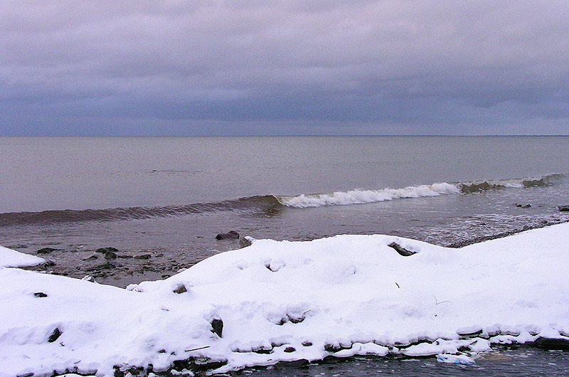 photo "Grey everyday lifes..." tags: landscape, winter
