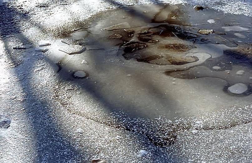 photo "Paintings of Winter...(2) One of Frosty Morning Ab" tags: nature, landscape, winter