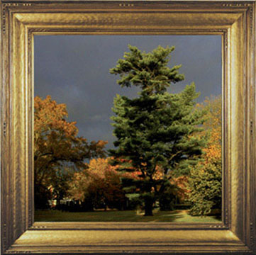 photo "Museum" tags: montage, 
