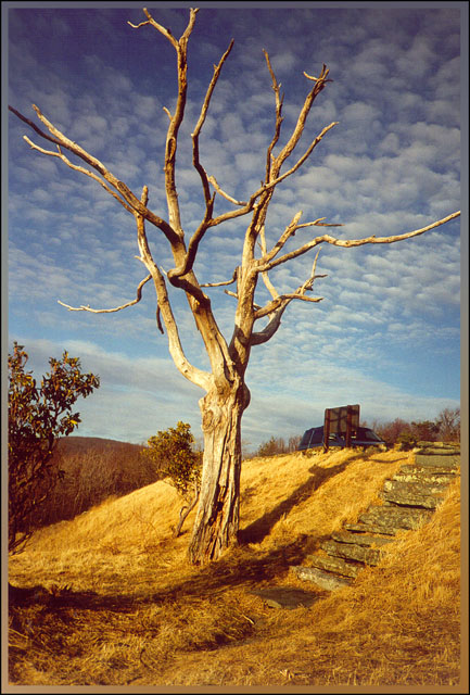 photo "On a roadside" tags: landscape, nature, autumn