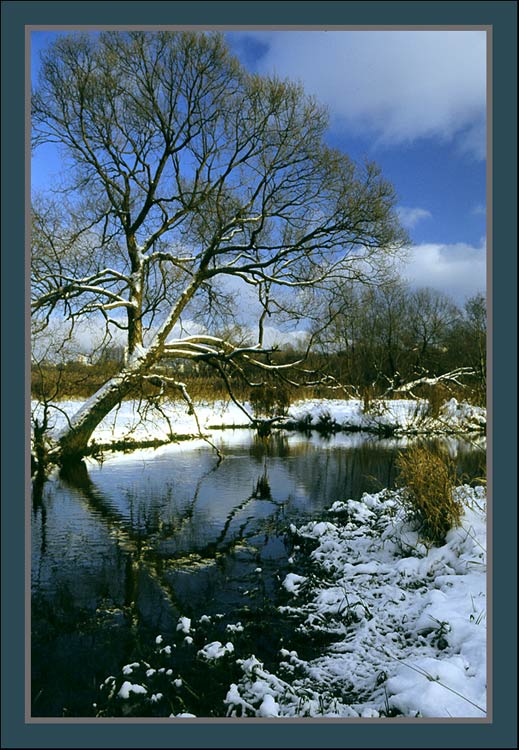 photo "From November-2" tags: landscape, autumn, water
