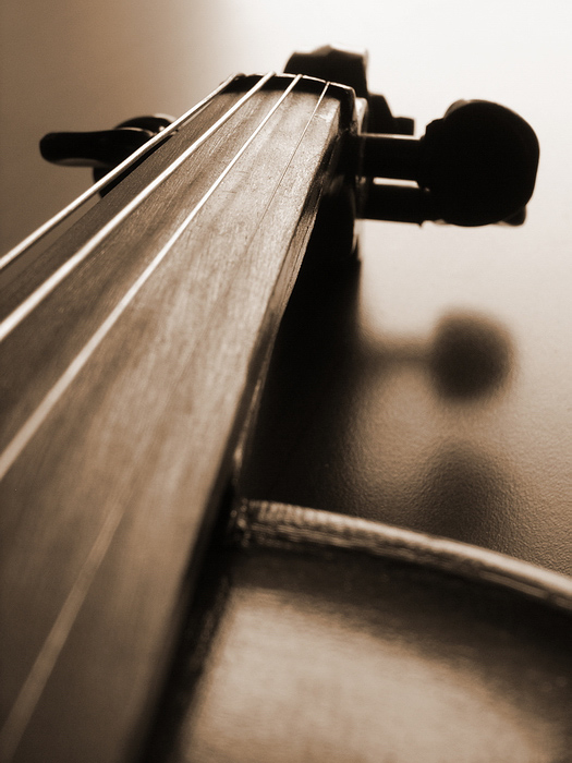 photo "Tired violin" tags: macro and close-up, still life, 