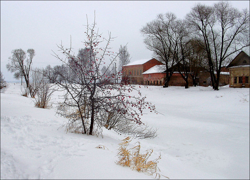photo "Small winter apple-tree" tags: landscape, travel, Europe, winter