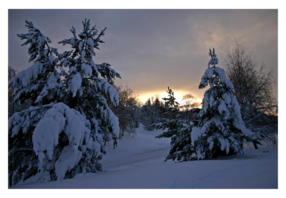 photo "Winter mood" tags: landscape, winter