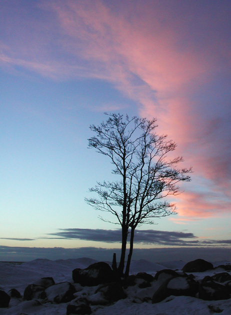 photo "After sunset" tags: landscape, sunset