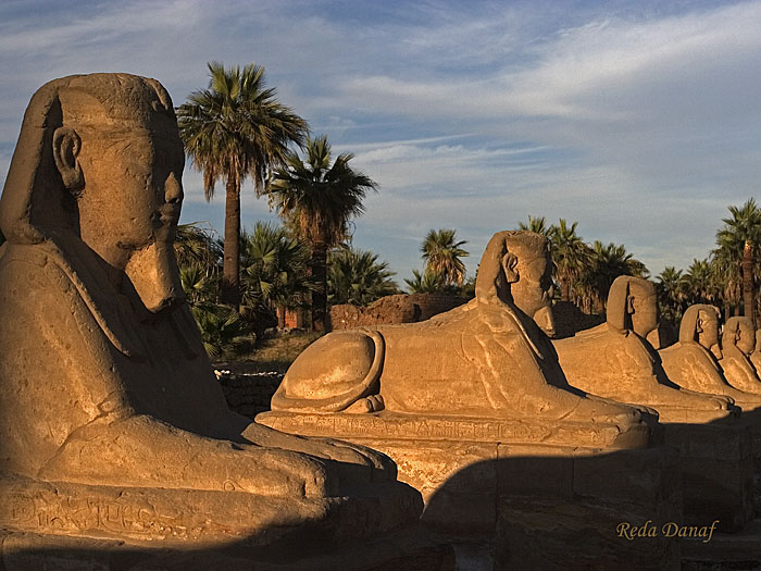 photo "Sphinx" tags: travel, still life, Africa
