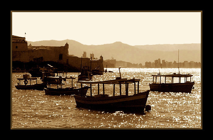 photo "Light in Sepia" tags: landscape, sunset, water