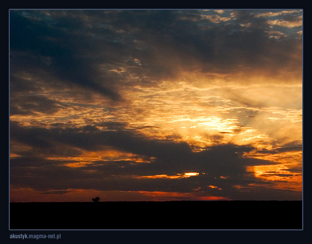 photo "bedlewo 2" tags: landscape, summer, sunset