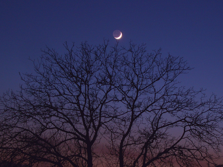 photo "young moon" tags: landscape, night, sunset