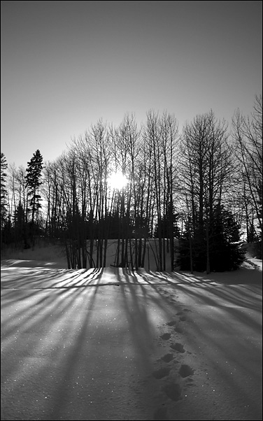 photo "Light and shadow (3)" tags: black&white, landscape, winter