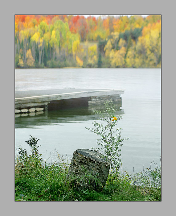 photo "Untitled photo" tags: landscape, travel, North America, autumn
