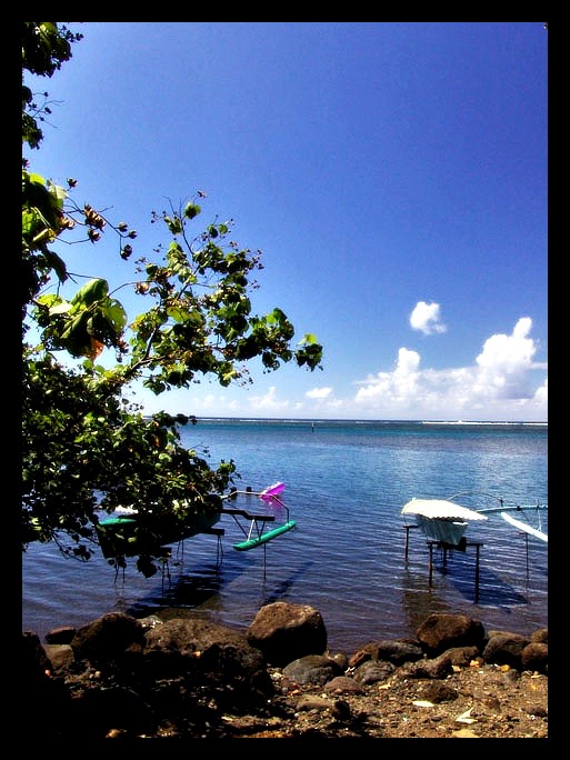 photo "Venus Point" tags: landscape, summer, water