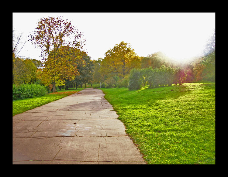 photo "Autumn Sketch. #35" tags: landscape, autumn, forest