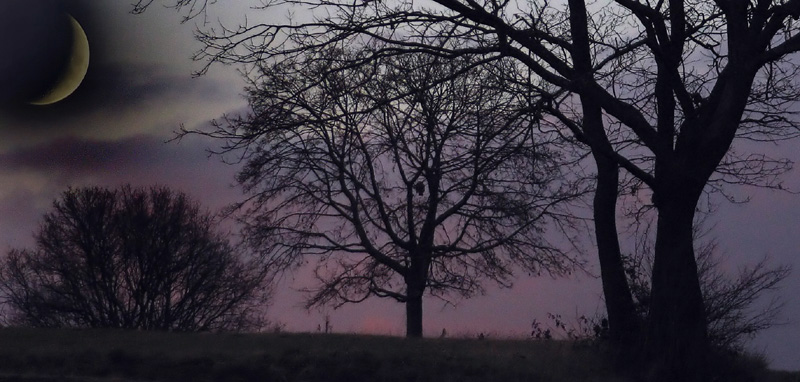 фото "In the evening" метки: пейзаж, закат