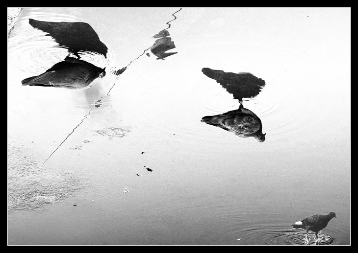photo "IMG_0291" tags: black&white, abstract, 