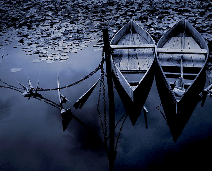photo "Survivals" tags: landscape, underwater, water