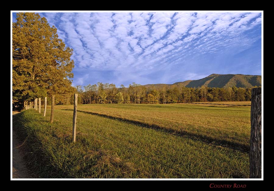 photo "Country road" tags: misc., 