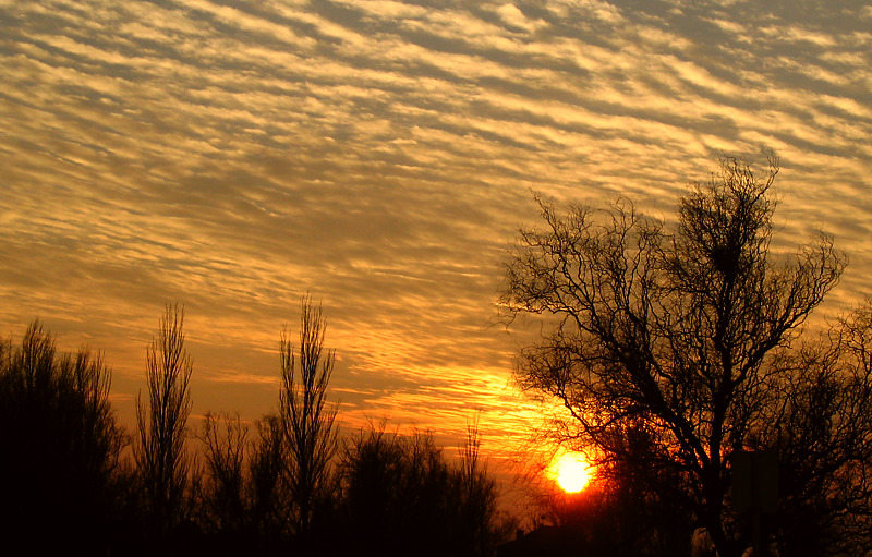 photo "Sunrise" tags: landscape, clouds, sunset