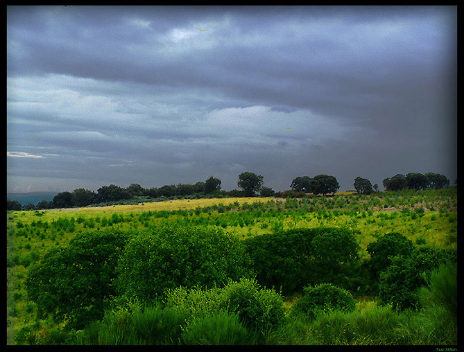 photo "Peace land" tags: landscape, sunset